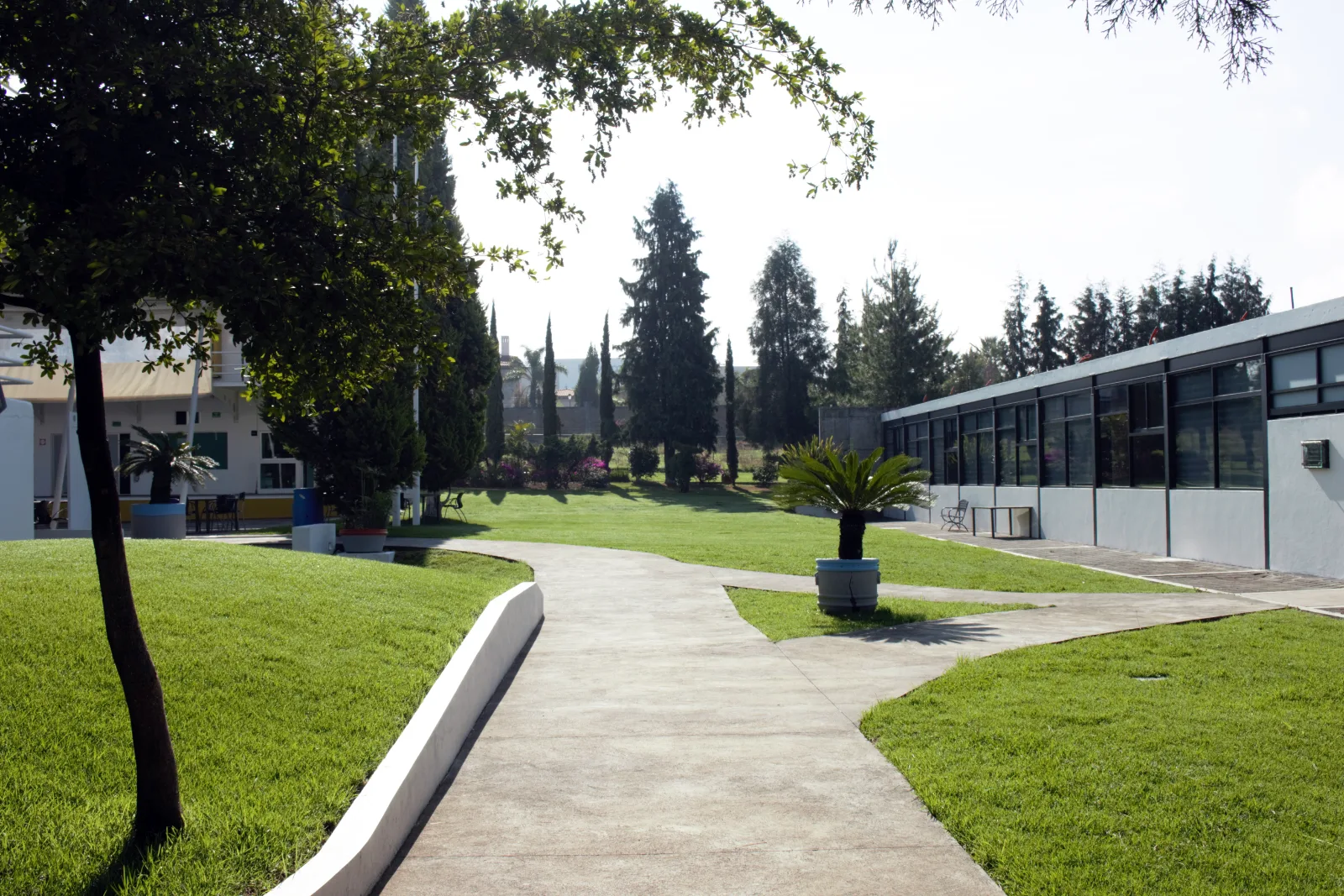 Áreas verdes del campus con árboles y bancas
